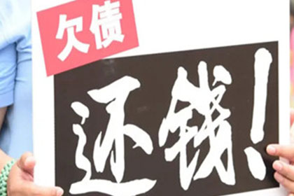 泰安借条担保相关法律咨询及担保人责任解析